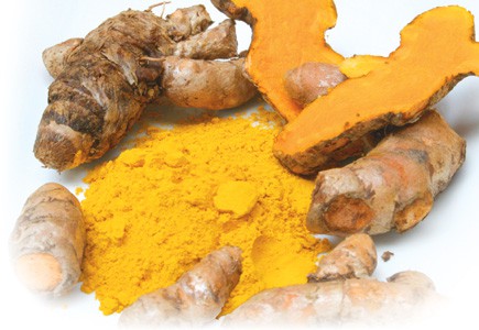 Curcuma longa         –Indijski šafran 